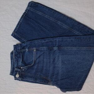 Zara Mid Rise Barrel Jeans Size 4